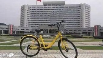 最新暗黑吃瓜爆料视频引热议，娱乐圈真相再掀波澜