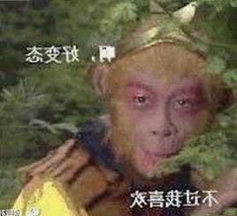 揭秘网络热潮：国产小姐姐与胖姐小说背后的吃瓜文化