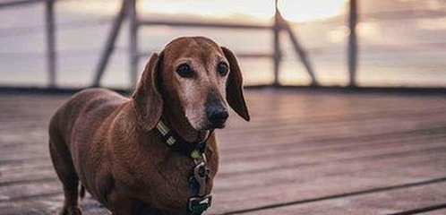 林允母女神同步视频引热议，吃瓜直播间揭秘娱乐圈内幕