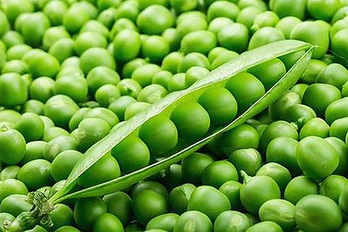 国产肥女：魅力与争议并存的娱乐新星